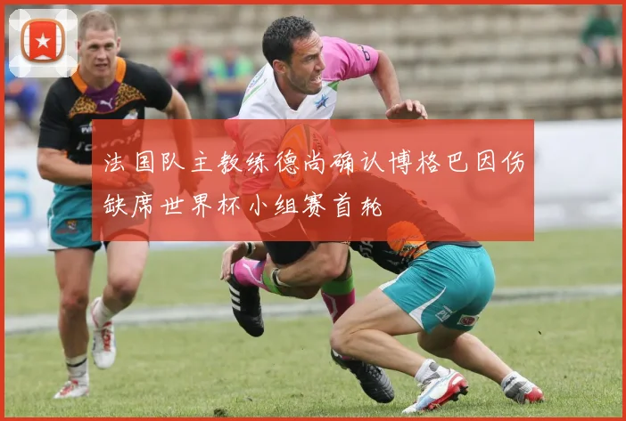 法国队主教练德尚确认博格巴因伤缺席世界杯小组赛首轮