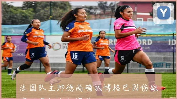 法国队主帅德尚确认博格巴因伤缺席世界杯小组赛首轮