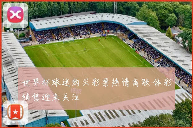 世界杯球迷购买彩票热情高涨 体彩销售迎来关注