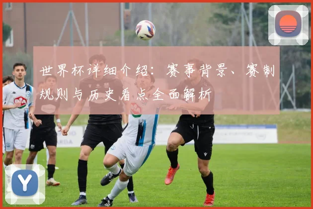 世界杯详细介绍：赛事背景、赛制规则与历史看点全面解析