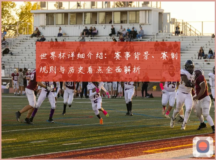 世界杯详细介绍：赛事背景、赛制规则与历史看点全面解析